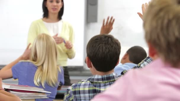 Los alumnos como profesor ayudan a los miembros individuales de la clase — Vídeo de stock