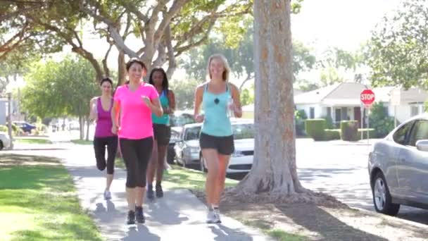 Groep van vrouwelijke lopers warming-up voordat run — Stockvideo