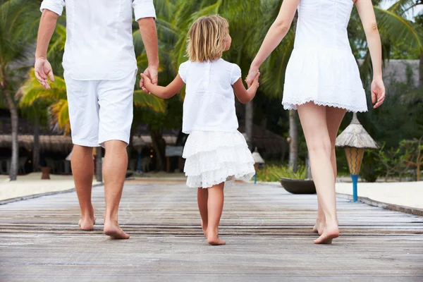 木製の桟橋の上を歩いての家族の背面図 — ストック写真