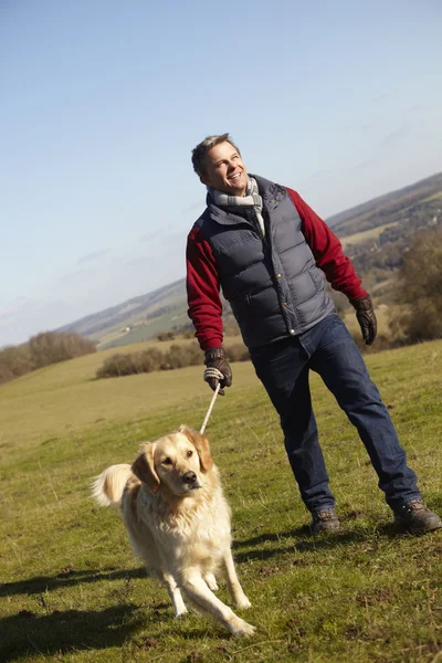 Uomo che porta il cane a piedi — Foto Stock