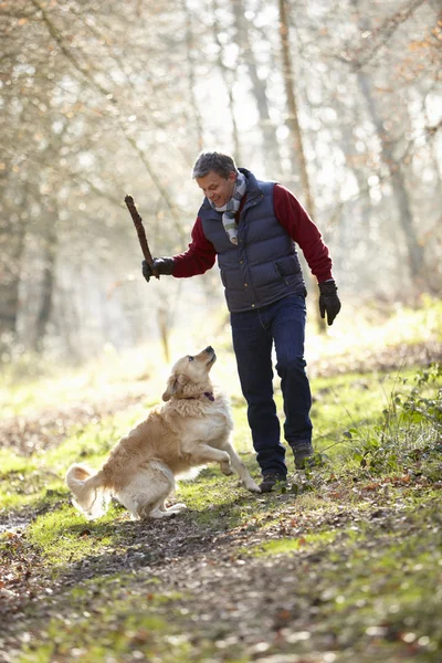 Man stick voor hond gooien op wandeling — Stockfoto