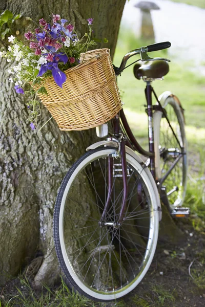 Altmodisches Fahrrad — Stockfoto
