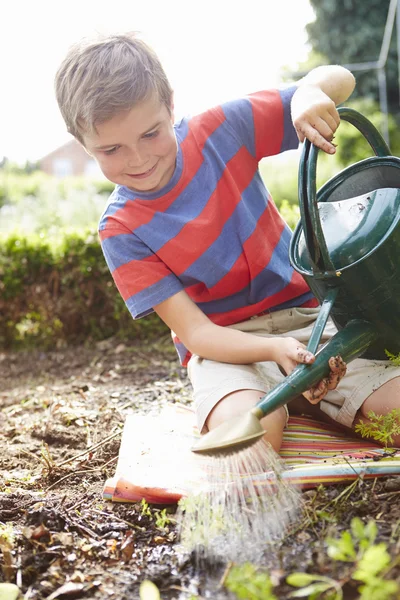 Хлопчик поливає розсаду на землі — стокове фото