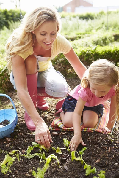 Madre e hija plantando plántulas —  Fotos de Stock