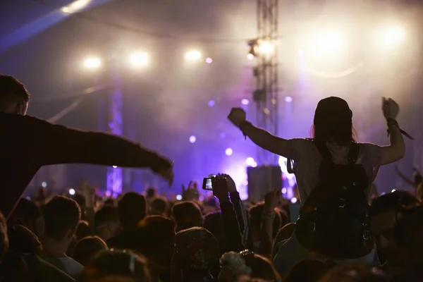 Audiencia divirtiéndose Concierto de música — Foto de Stock