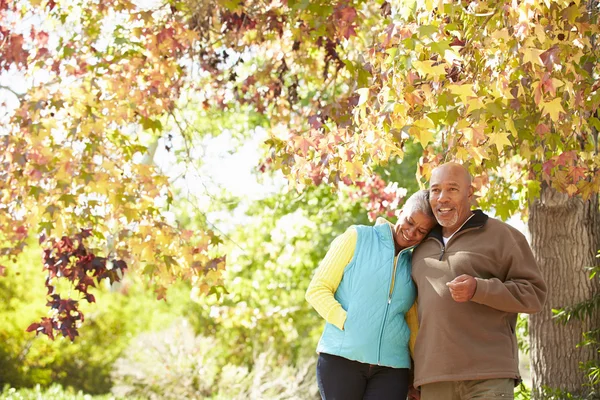 Casal caminhando pela floresta de outono — Fotografia de Stock