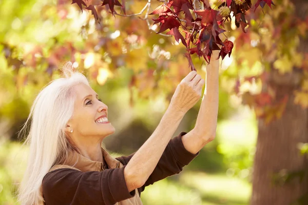 Mujer relajante en el paisaje de otoño — Foto de Stock