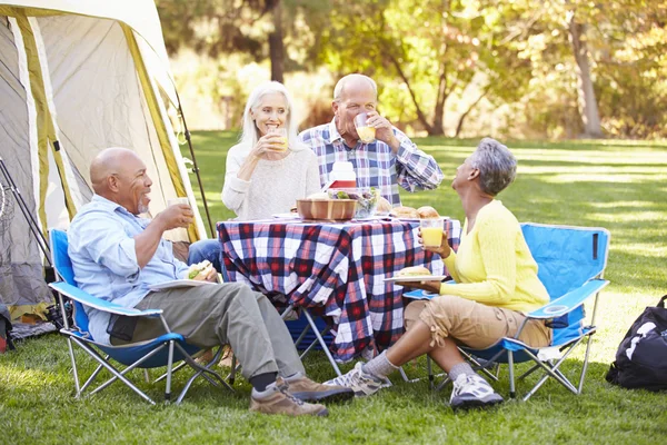 Due coppie anziane che si godono le vacanze in campeggio — Foto Stock