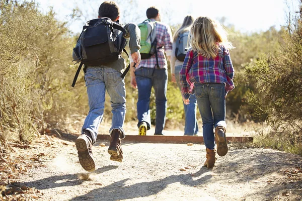 Achteraanzicht van familie wandelen in het platteland dragen van rugzakken — Stockfoto