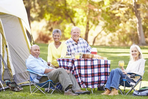 Dos parejas mayores disfrutando de unas vacaciones de camping —  Fotos de Stock