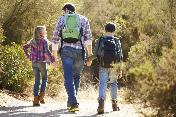 Vista posteriore del padre e dei bambini che camminano in campagna — Foto Stock