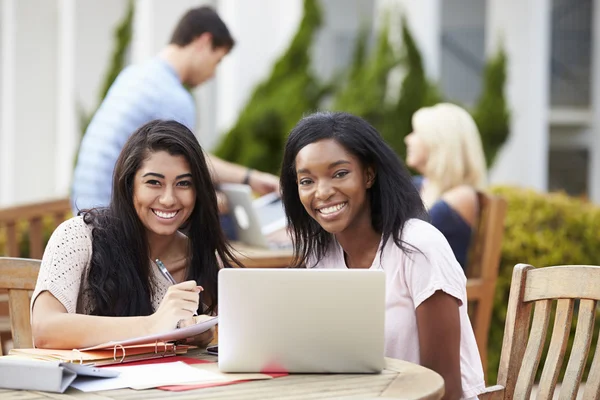 Dos estudiantes universitarios trabajando juntos en proyectos al aire libre — Foto de Stock