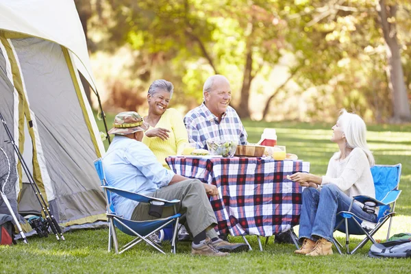 Dos parejas mayores disfrutando de unas vacaciones de camping —  Fotos de Stock