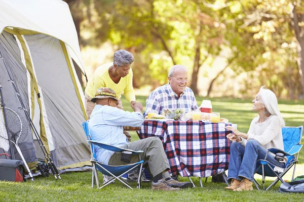 Dos parejas mayores disfrutando de unas vacaciones de camping —  Fotos de Stock