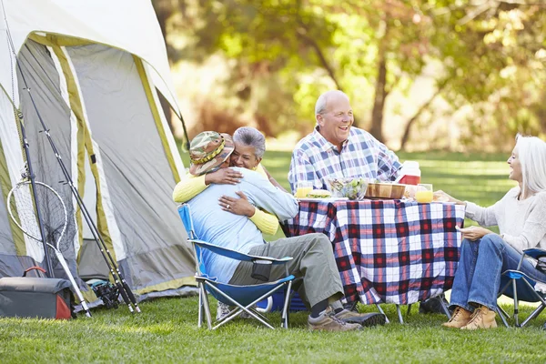 Due coppie anziane che si godono le vacanze in campeggio — Foto Stock