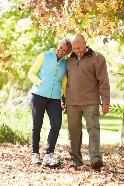 Pareja caminando por el bosque otoñal — Foto de Stock