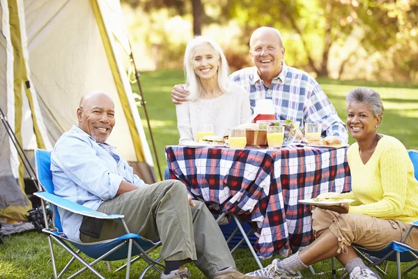 Deux couples de personnes âgées profitant de vacances en camping — Photo