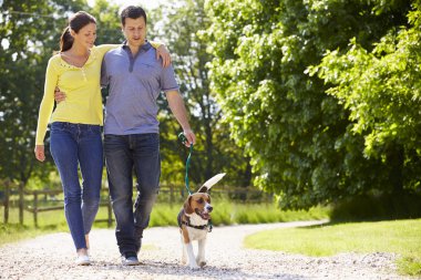 Hispanic Couple Taking Dog For Walk In Countryside clipart