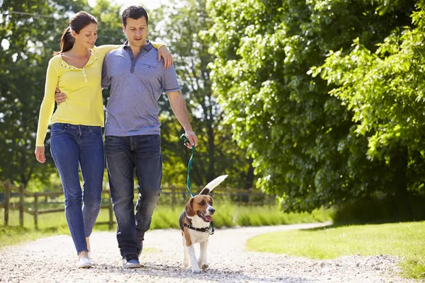 Spanisches Paar geht mit Hund auf dem Land spazieren — Stockfoto