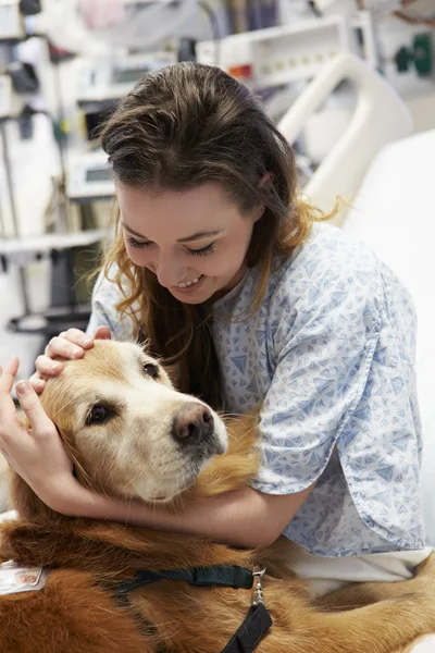 Terapia cão visitando jovem paciente do sexo feminino no hospital — Fotografia de Stock
