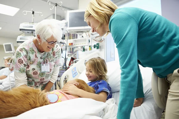 Joven chica siendo visitado en hospital por terapia perro — Foto de Stock