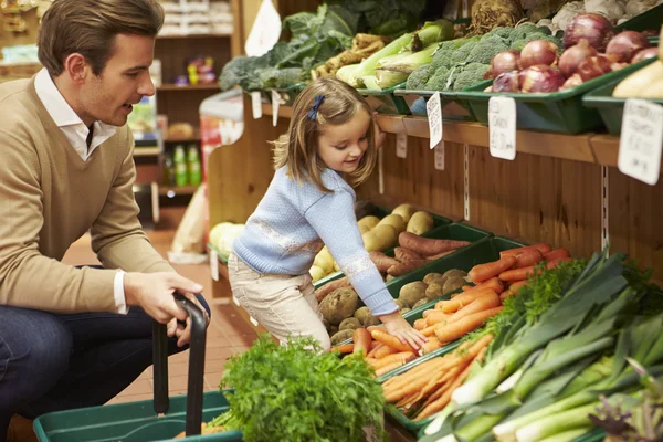 Отец и дочь выбирают свежие овощи в фермерском магазине — стоковое фото