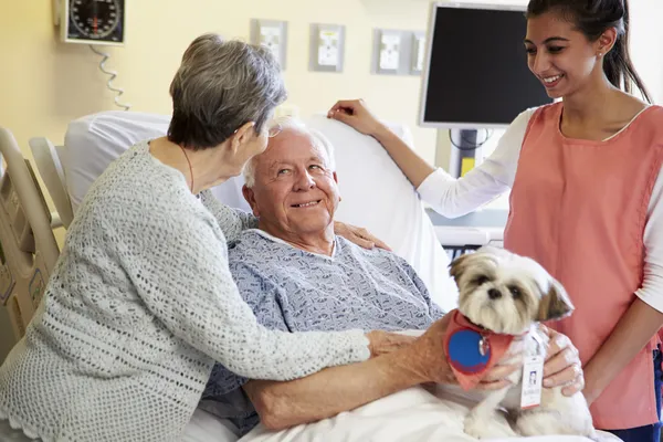 Pet terapia cão visitando paciente masculino sênior no hospital — Fotografia de Stock