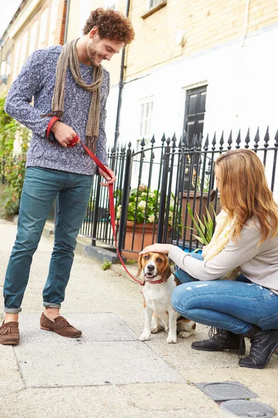 Pareja tomando perro para caminar —  Fotos de Stock