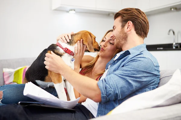 Casal com cão — Fotografia de Stock