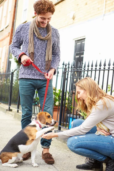 Пара бере собаку для прогулянок — стокове фото