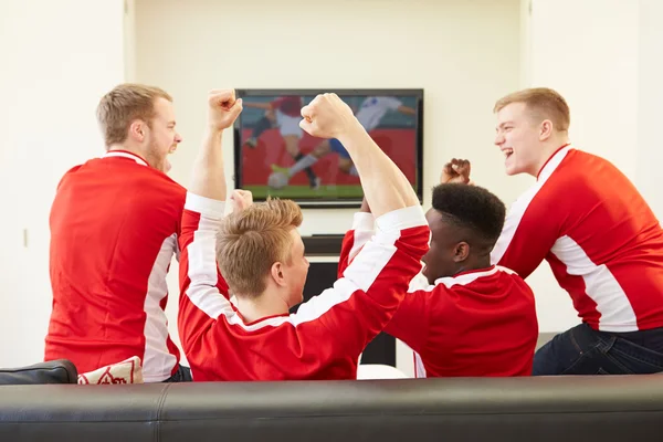 Deportes Fans Mirando Juego — Foto de Stock