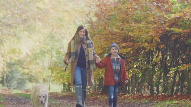 Mãe Filho Levam Animal Estimação Golden Retriever Cão Para Andar — Vídeo de Stock