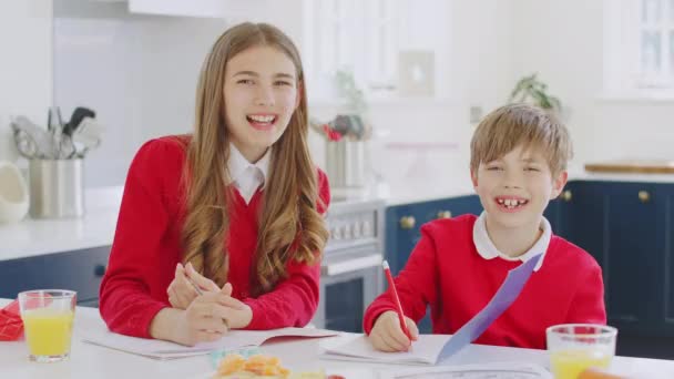 Porträtt Skrattande Bror Och Syster Bär Skolan Uniform Gör Läxor — Stockvideo