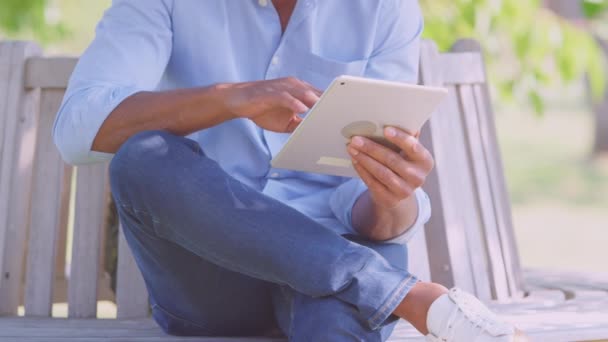 Close Man Sitting Bench Tree Summer Park Using Digital Tablet — Stock Video