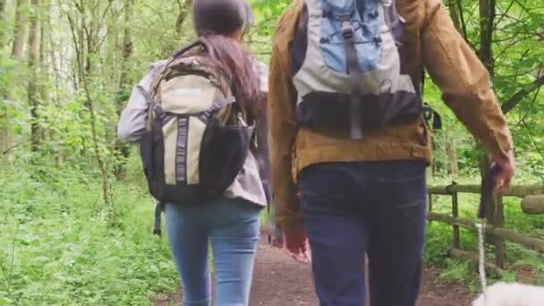Arkadaki Genç Çiftin Ele Tutuşup Kırsal Kesimdeki Ağaçların Arasında Yürürken — Stok video