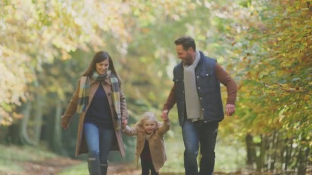 Garota Excitada Sendo Balançada Pelos Pais Família Autumn Walk Através — Vídeo de Stock