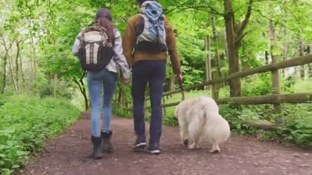 Hátsó Nézet Fiatal Pár Fogja Egymás Kezét Ahogy Túráznak Végig — Stock videók