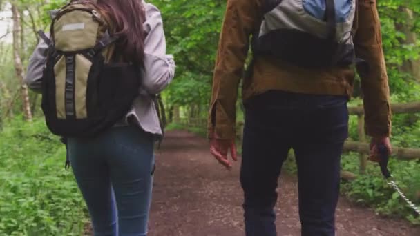 Shoulder View Young Couple Hiking Path Trees Countryside Pet Golden — Stock Video