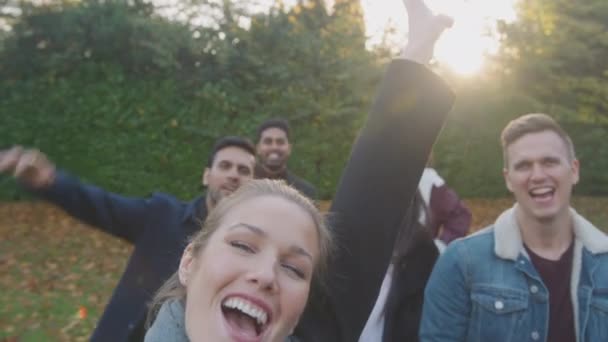 Ritratto Gruppo Multiculturale Amici Posa Selfie Passeggiata All Aperto Campagna — Video Stock