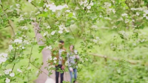 Giovane Coppia Escursionismo Lungo Percorso Attraverso Gli Alberi Campagna Con — Video Stock