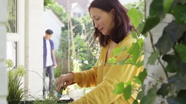 Volwassen Aziatische Vrouw Planten Houten Container Voorgrond Van Zomer Tuin — Stockvideo