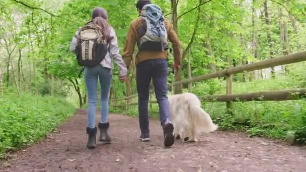Vue Arrière Jeune Couple Tenant Main Alors Ils Marchent Long — Video