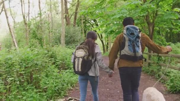 Arkadaki Genç Çiftin Kırsal Kesimdeki Ağaçların Arasında Yavaşça Çekilen Tasmalı — Stok video