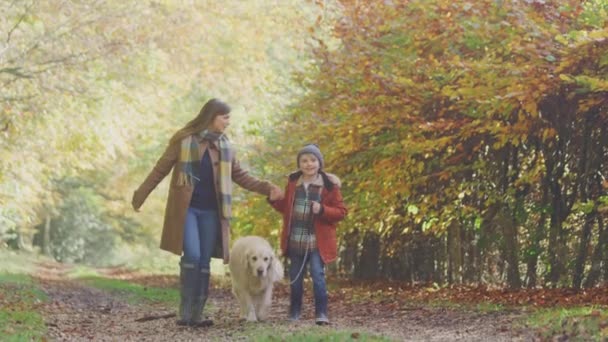 Μητέρα Και Γιος Λάβει Pet Golden Retriever Σκυλί Για Πόδια — Αρχείο Βίντεο