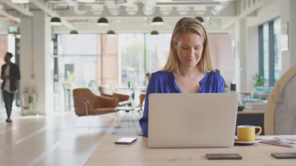 Pebisnis Muda Bekerja Laptop Pada Meja Kantor Modern Dengan Koleganya — Stok Video