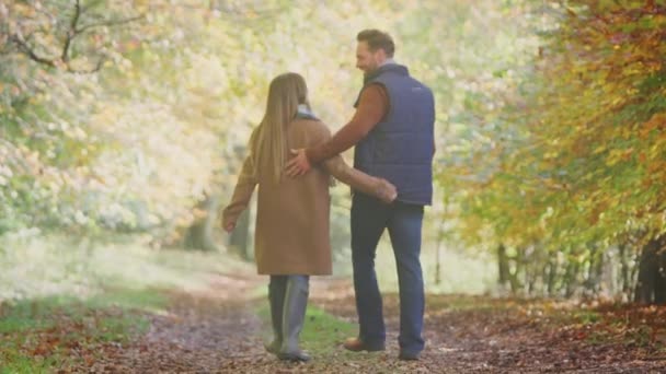 Achteraanzicht Van Liefdevolle Volwassen Paar Wandelen Langs Het Spoor Het — Stockvideo