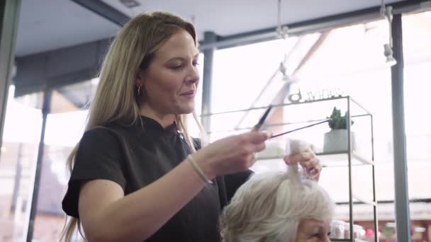 美容室で女性スタイリストによるヘアカットを持つシニア女性 — ストック動画