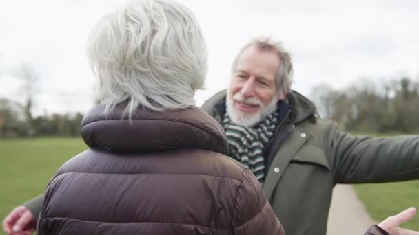 Casal Senior Abraço Como Eles Encontram Outono Parque Inverno — Vídeo de Stock