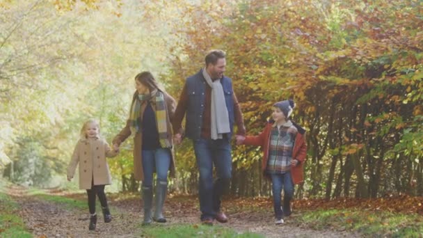 Familie Mit Reifen Eltern Und Zwei Händchenhaltenden Kindern Auf Dem — Stockvideo