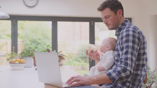 Padre Trabajador Que Usa Computadora Portátil Casa Mientras Alimenta Hijo — Vídeos de Stock